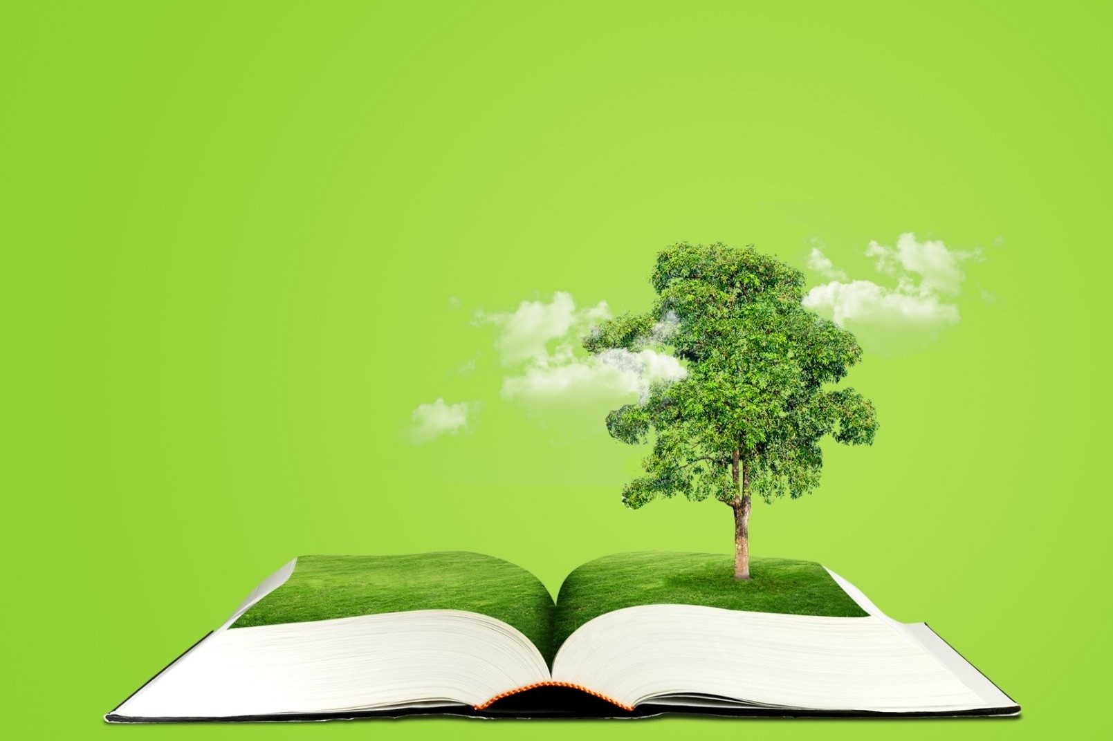 Le livre et le développement durable en Grand Est : participez au questionnaire