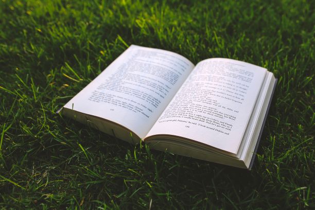 La fabrique du livre jeunesse : un été placé sous le signe de la culture !