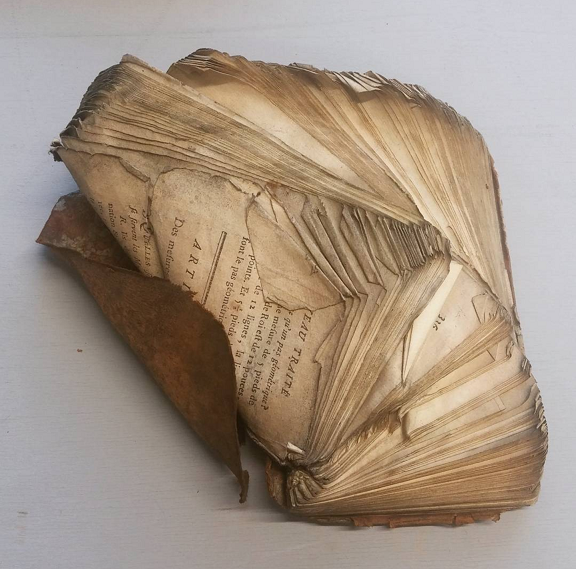 La planification d’urgence et des interventions pour la sauvegarde des collections de bibliothèques