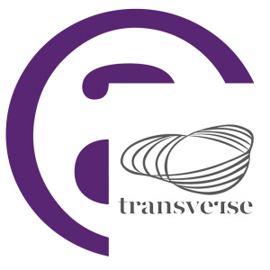 Transverse 2020 : appel à candidature