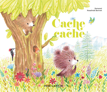 Cache cache