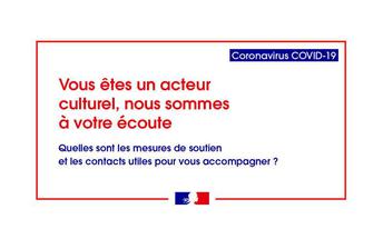 Coronavirus Covid-19 : installation du conseil des territoires pour la culture par la préfète du Grand Est