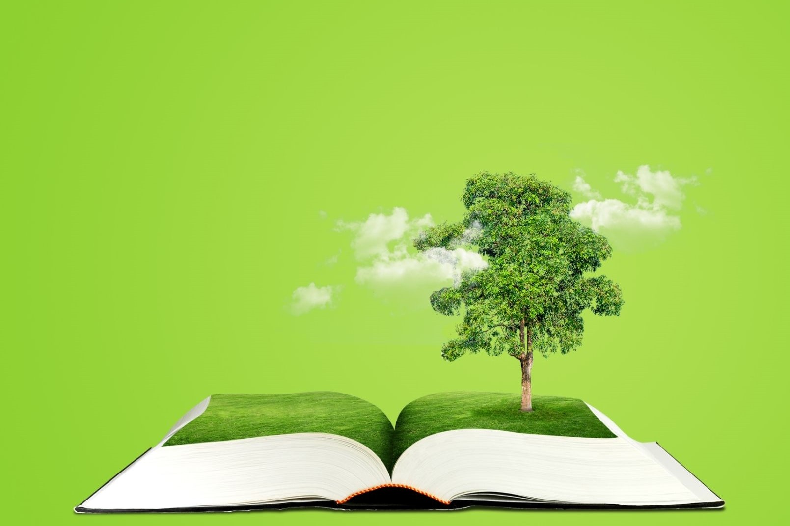 Aide aux expérimentations écologiques dans le domaine du livre