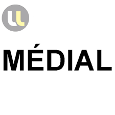 Mettre en place une résidence d'auteur (visio) Medial/DRAC