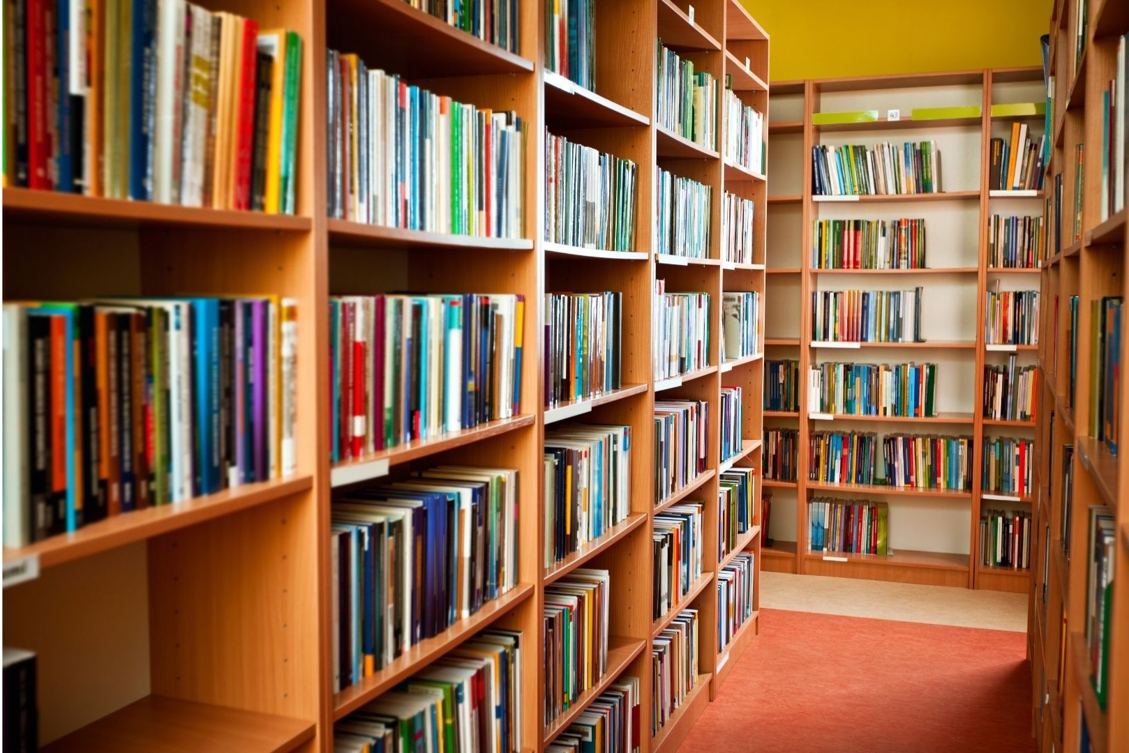 Référentiel national des compétences des bibliothèques territoriales_oct 2022